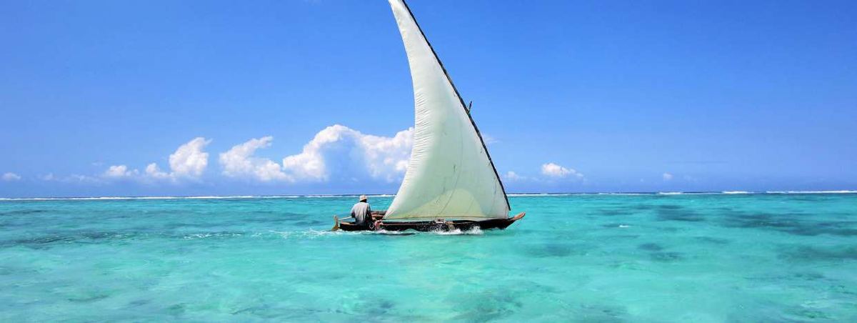 Safari Blue à Zanzibar — excursion privée | Bonjour Zanzibar